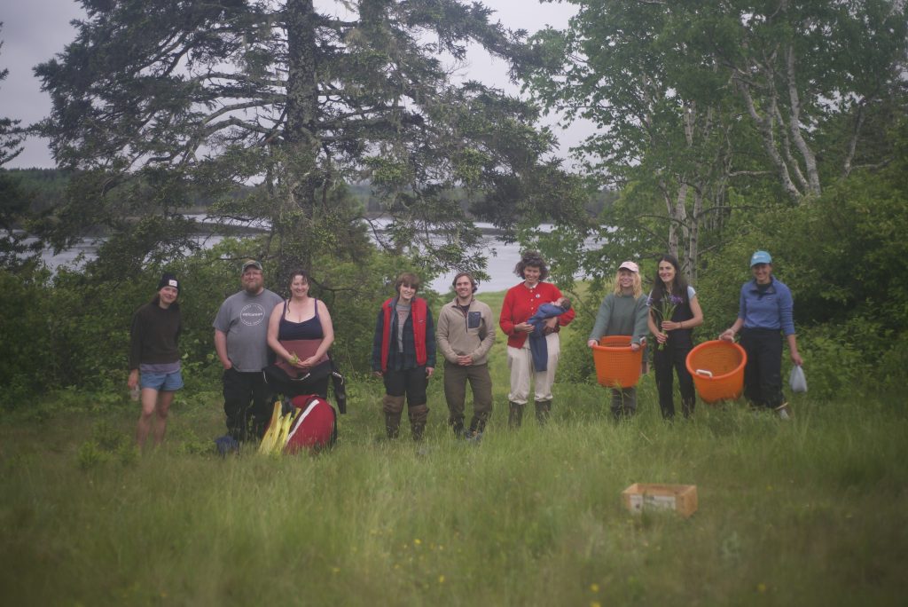 Seaweed Harvest Low Low Tides, June 2023. Workshop, learning experience Photo by Chris Battaglia