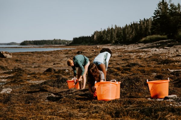 Seaweed Lover's Special - Image 12