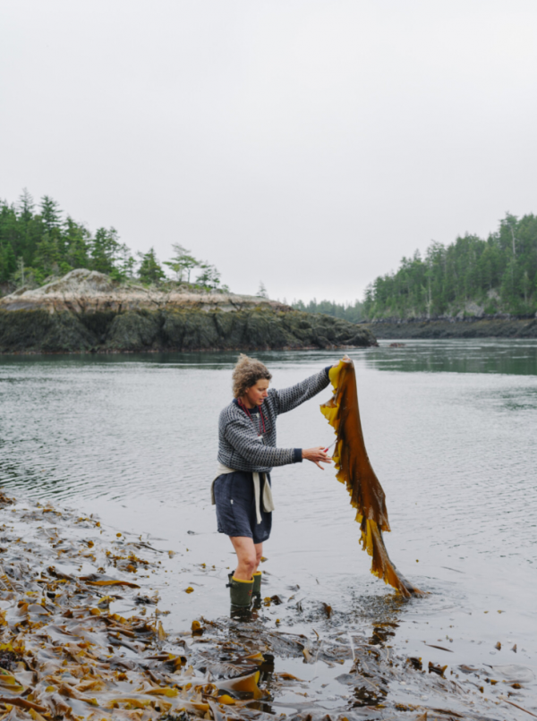 Seaweed Lover's Special - Image 11